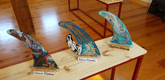 Marlin Fins